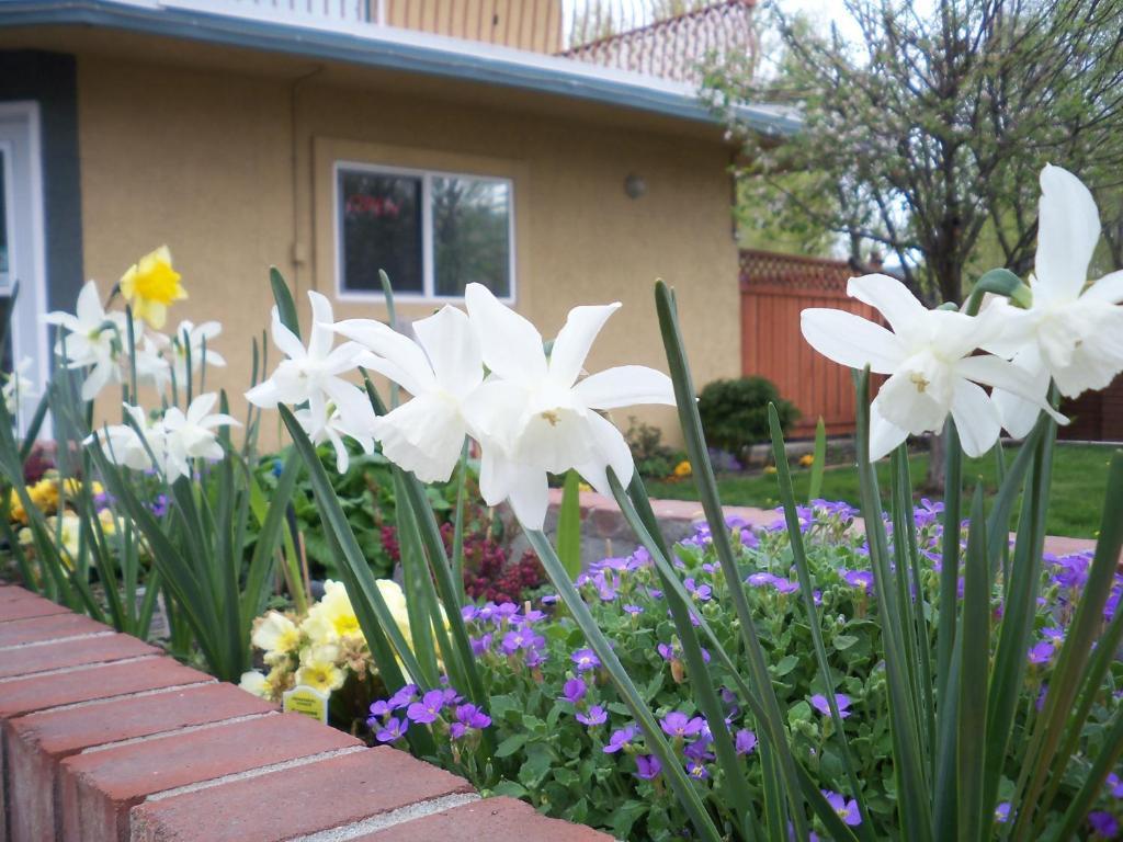Lakeside Villa & Nordic Spa Penticton Luaran gambar